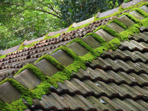 Démoussage de toiture dans l'Aveyron