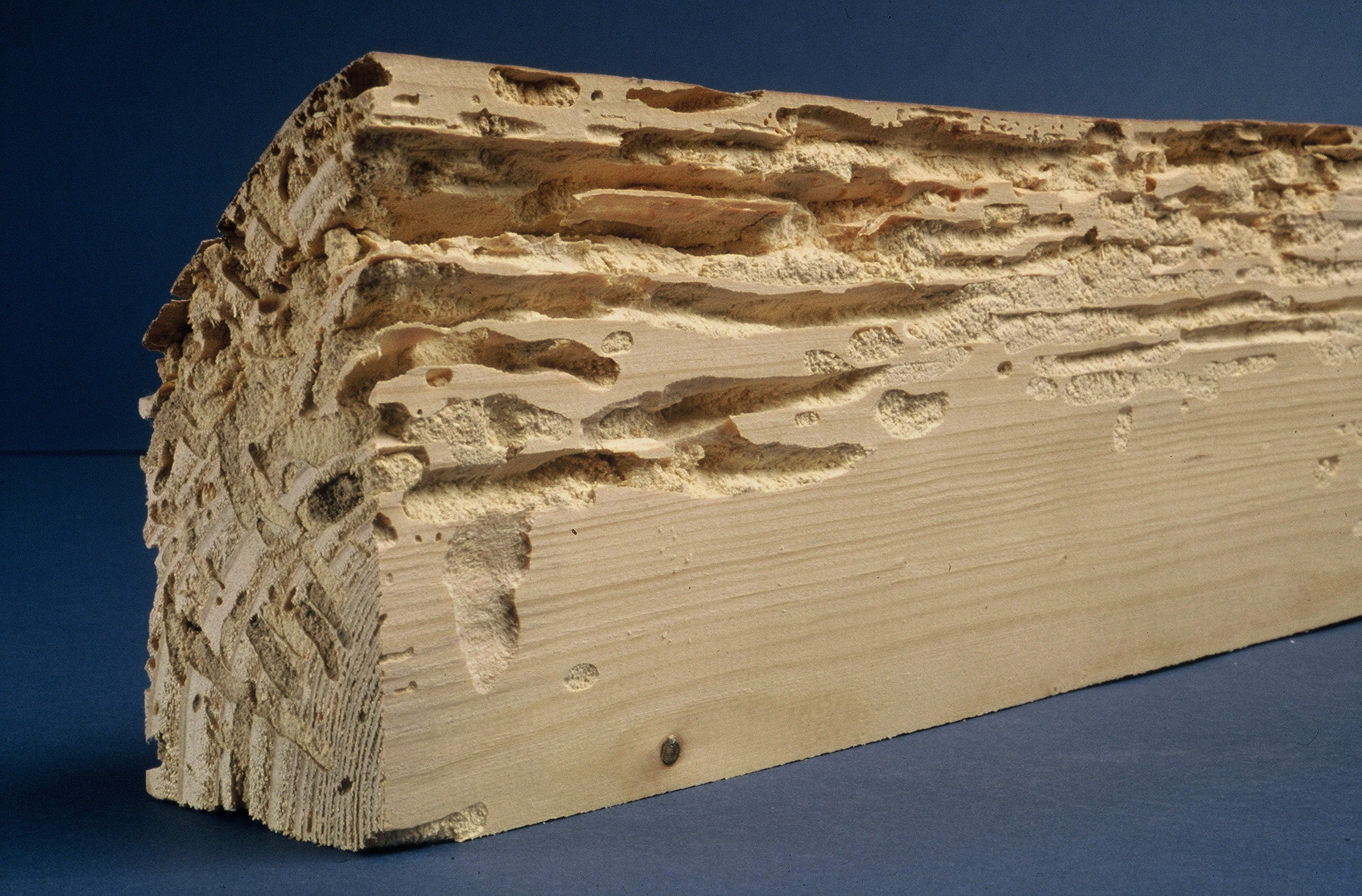 Traitement de charpente, bois à Rodez